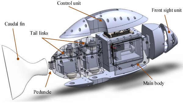 3D打印出來(lái)的智能機(jī)械魚(yú).png